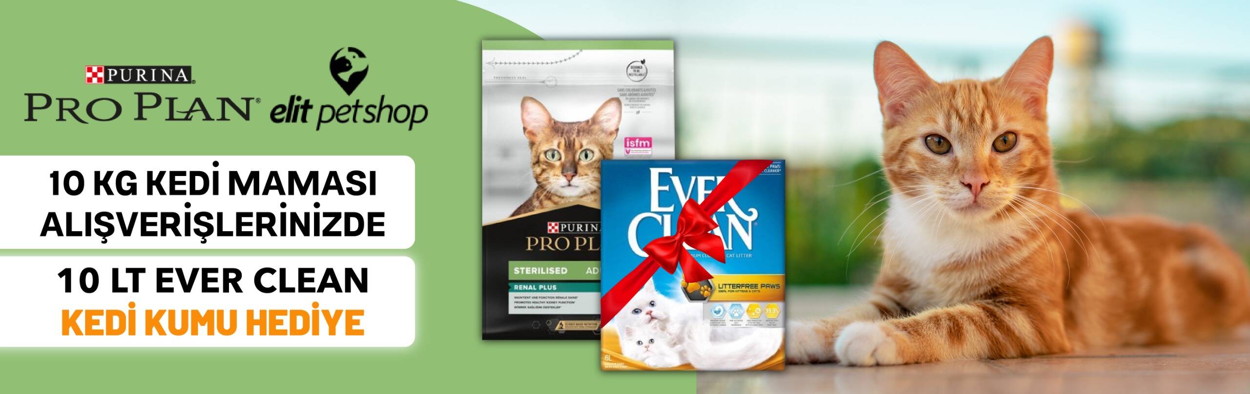 Pro plan ever clena hediye 